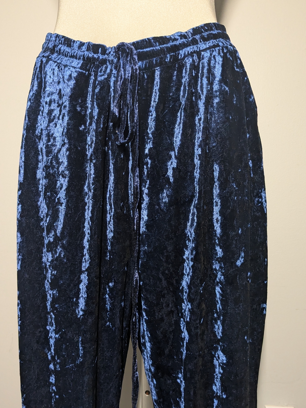 C by One Shimmery Navy Crushed Velvet Pull-On Pants - Picture 4 of 16
